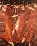 Sir Edward Coley Burne-Jones The Garden of the Hesperides USA oil painting reproduction